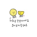 미스테리분식