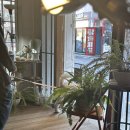 마을애견 이미지