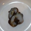 안골해물맛있는집 네이버블로그