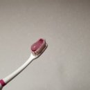 워니러스트 이미지