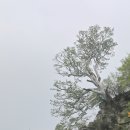 (주)창성농산
