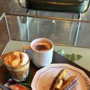 댕댕마실 이미지