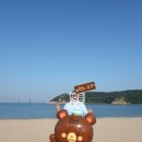 주전몽돌해변2(행정봉사실) | 울산 일산해수욕장 울산조선해양축제