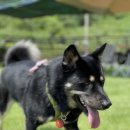 써니펜션민박 이미지