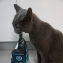 공금농장 이미지