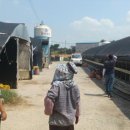 수문축사 이미지