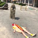 강릉여자고등학교 이미지