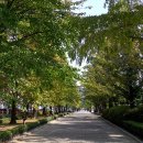 호수공원 입구 이미지