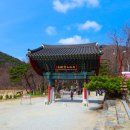 진수봉 | 100대 명산 (포항 내연산, 12폭포, 보경사)