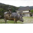 버들피리황토민박 | 아산 맹씨 행단 17-06-03