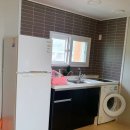 비치화이트애견펜션 이미지