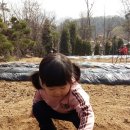 서율농장 Daum카페
