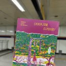 성모수퍼 | 11월 일상 | 캠핑부터 여행까지 잘놀았다