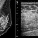 엘림건강메디 이미지