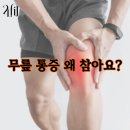 신봉1로2L-2 이미지