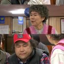 똥돼지 이미지