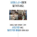 소닉렌탈