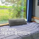 플랜비민박