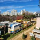 한류월드로+월드고양로 이미지