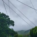 행복한153 이미지