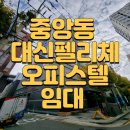 대신펠리체 이미지