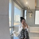 리벤시아 | 부산 애견동반 숙소 추천 광안리 오션뷰 리벤시아 호텔 후기 (위치·뷰 정리)