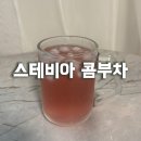 스테이바 | 나혼자산다 박나래 콤부차 스테이바 콤부차 딸기키위맛 후기