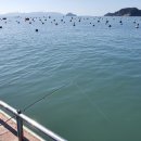 약산면-2 이미지