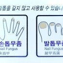 네일스타 - 전주시 완산구 | 네일스타