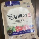 우면동물병원 | [건강백서] 강아지 관절 사료 먹방 후기
