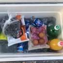 로하스캠핑 이미지