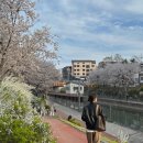 피자써클 | 김포 화덕피자 꼬또우노 방문후기