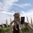 나리 모텔 이미지