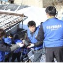 아미노코리아