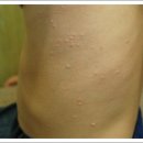 성우한의원 이미지