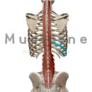 안녕피티 이미지