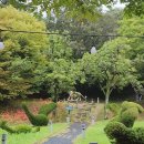 영광 불갑산 상사화축제 ｜ 보리향기 보리바지락칼국수