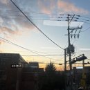 인창해물섞어탕찜 | 용인 구갈동[엄마동태섞어탕] 기흥 밥집, 신갈 맛집인 해물아구찜 솔직후기 🔥