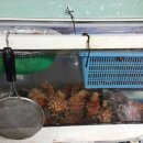 스쿠버다이버의집 이미지