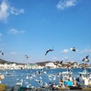 명성수산 | 감포 맛집, 대게 맛있게 즐길 수 있는 명성수산 후기