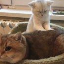 드림안마시술소 이미지