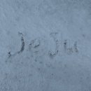 성산에코 | 제주 에코랜드 맛집 추천 - 삼다온 갈치조림정식 교래리 찐맛집 후기