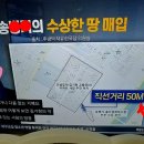 도시어부 금쪽같은 내새끼 이미지
