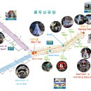 로뎀트리로뎀나무 이미지