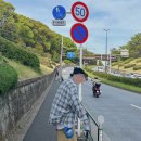 블루체크(BLUE CHECK) 이미지