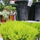 예나농장 이미지