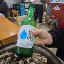 섬안정참숯불구이 | 사천 비토섬 현지인 굴 맛집 비토랑 굴구이 후기