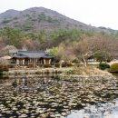 새벽노을2 이미지