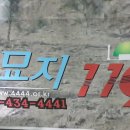 묘지119