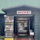 🔥 용인 찜질방 추천, 숲속에서 힐링 제대로 하고 온 용인 숲속 숯가마 후기 🔥